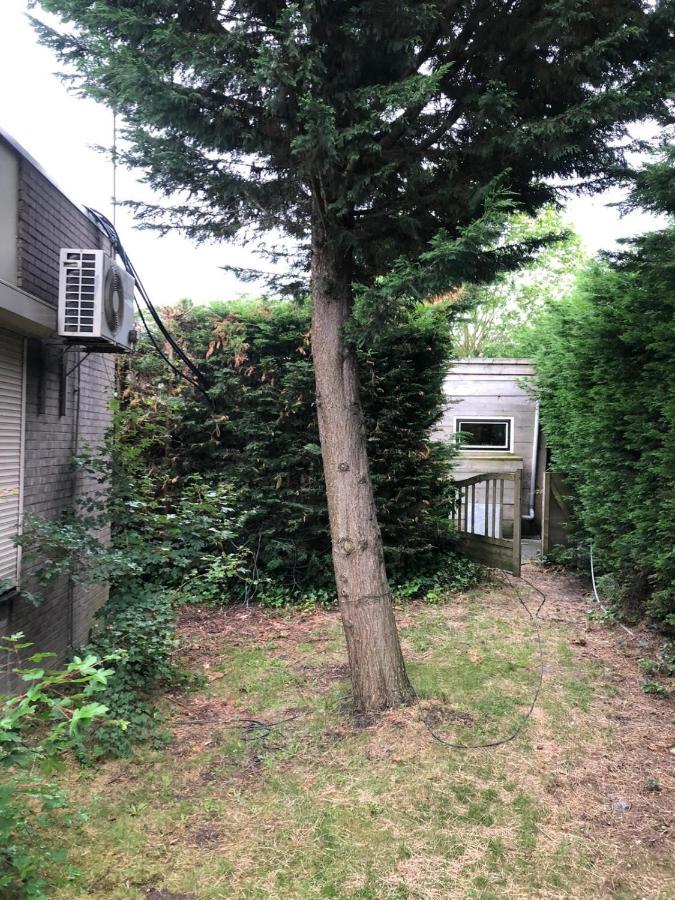 Knus Appartement Aan De Kust Strand Zee Havens Yerseke Exterior foto